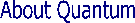 Welcome to Quantum Professional Services